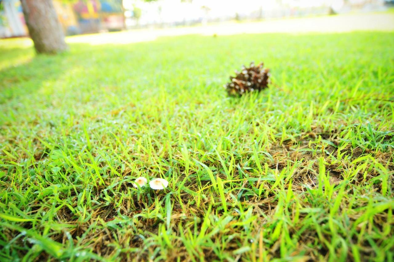 Sungbo Youth Hostel Mungyeong Exteriér fotografie